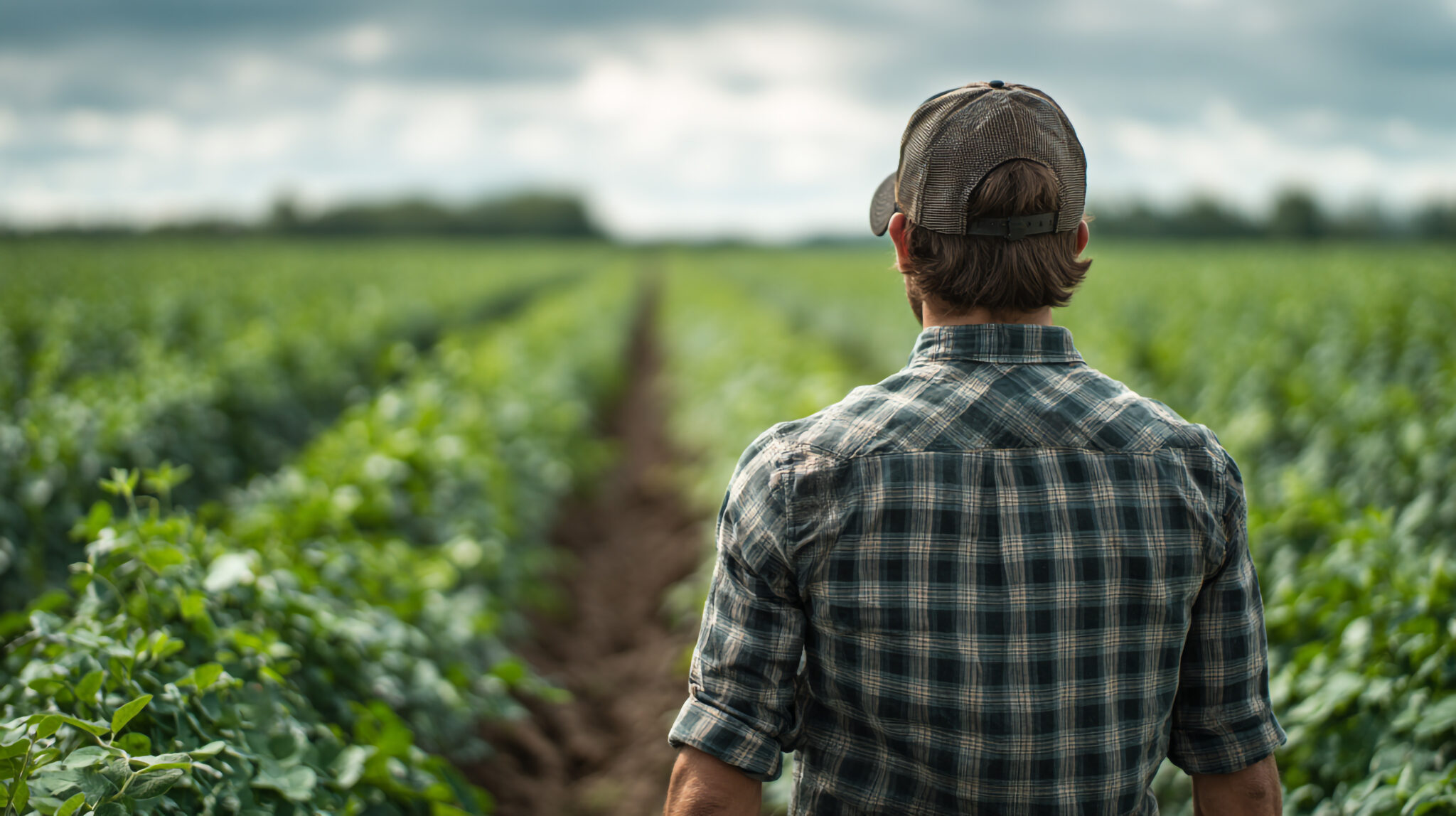 A farmer looking at his field on a cloudy day from the back view